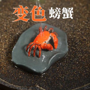 茶寵螃蟹變色茶玩紫砂茶道擺件茶從寵沖水遇熱茶水熱水遇水茶具