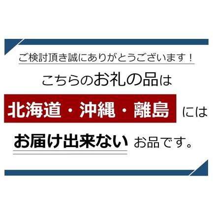 ふるさと納税 天草産 天然伊勢海老 一尾（半身カット×２個）  熊本県苓北町