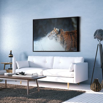 雪地 • 西伯利亞虎-老虎/雪/白色/動物/掛畫/裝飾/西伯利亞虎