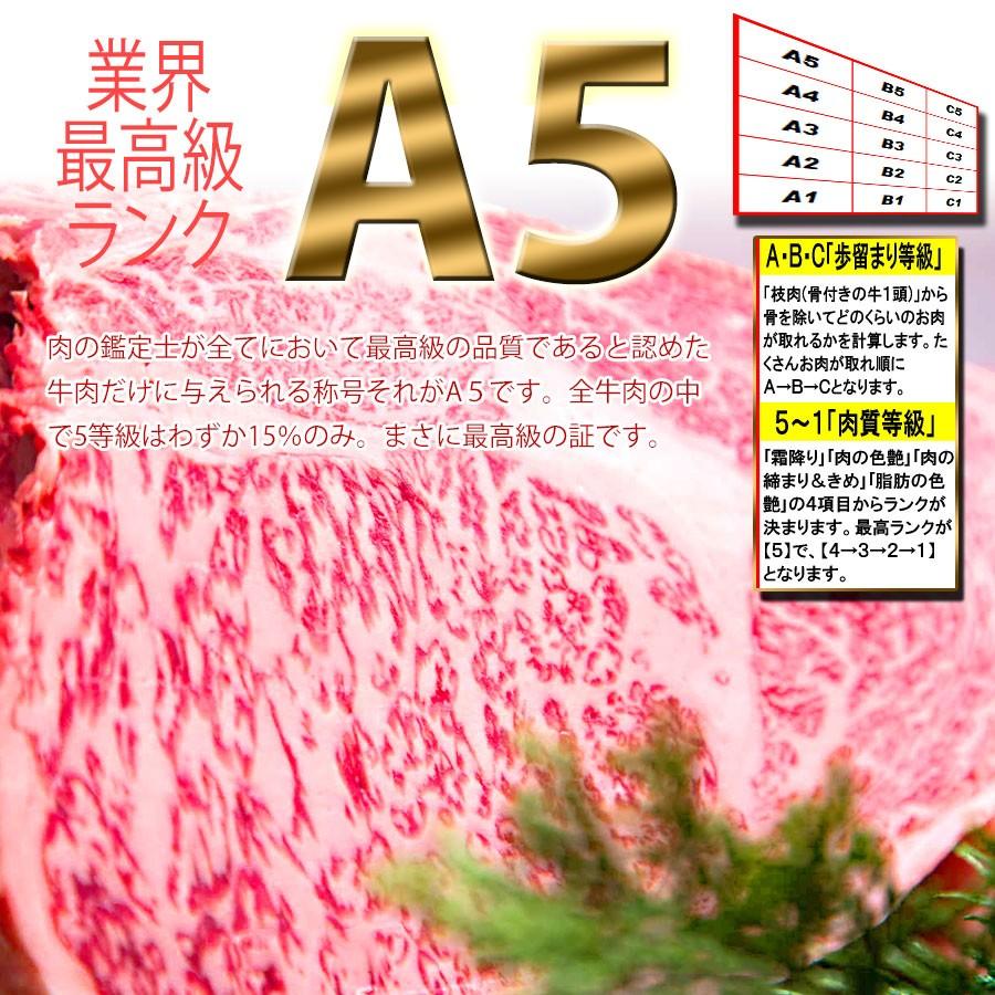 訳あり 黒毛和牛 最高級 A5 特選サーロイン ステーキ 肉 200g 冷凍 国産 牛肉 安い 肉 お取り寄せグルメ 食材 ゆっくり払い 食品