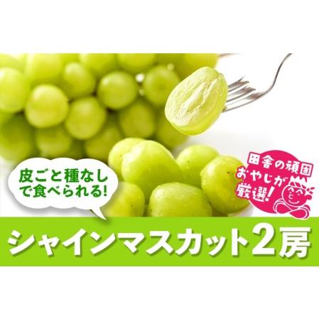 ふるさと納税 田舎の頑固おやじが厳選！シャインマスカット2房 茨城県つくばみらい市