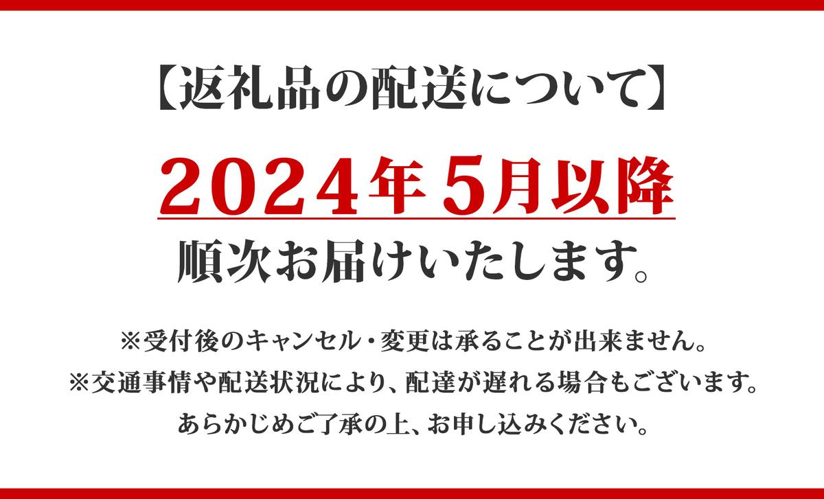 先行受付倶知安ビーフカレー 北海道 計10個 中辛 レトルト食品 加工品 牛肉 ビーフ 野菜 じゃがいも お取り寄せ グルメ 北海道 