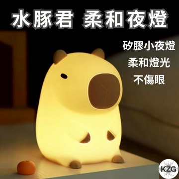⚡現貨 免運⚡卡皮巴拉夜燈 水豚夜燈 卡皮巴拉小夜燈 水豚君夜燈 夜燈 柔和夜燈 卡皮巴拉橘子 床頭燈 氣氛燈