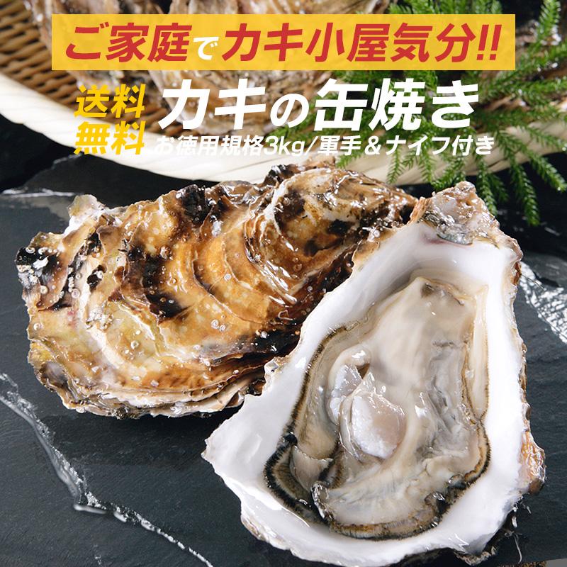 カキ かき 牡蠣 一斗缶 カンカン焼き 殻付き 3kg 牡蠣カンカン焼き 冷凍 軍手＆牡蠣ナイフ付き 瀬戸内海産 お歳暮 ギフト