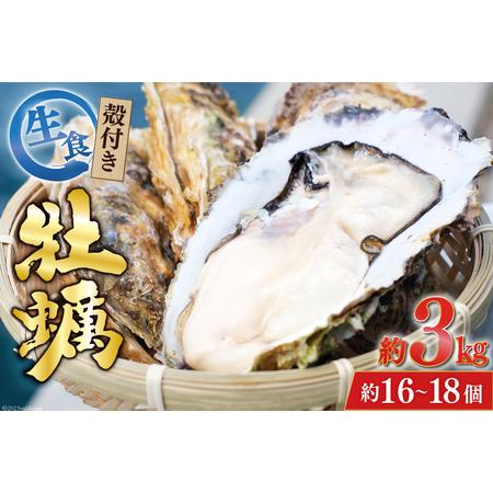 ふるさと納税  牡蠣 3〜4年モノ 生食 殻付き牡蠣 約3kg(約16-18個入) [住喜水産 宮城県 気仙沼市 20562726] 期間限定 冷蔵 新鮮.. 宮城県気仙沼市