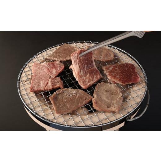 ふるさと納税 福岡県 柳川市 豊作和牛 焼肉2部位セット 計約600g (約300g×2パック)