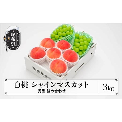 ふるさと納税 山形県 尾花沢市 先行予約 白桃 シャインマスカット 秀品 詰め合わせ 3kg 2024年産 令和6年産 山形県産 送料無料 もも ぶどう 果物 フルーツ  ※…