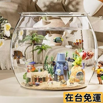 🌱台灣出庫🌱 魚缸小型家用收納盒塑料水培花盆綠植魚缸防碎家用造景生態缸防摔627 HLBJ