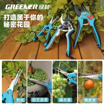 修枝剪樹枝專用剪刀園藝剪枝果樹修枝花剪園林修花神器花卉剪