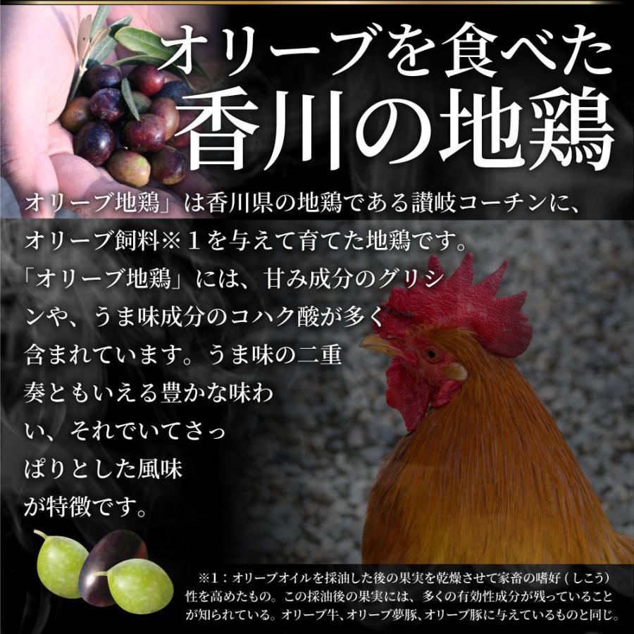 たたき 鶏 タタキ 国産 オリーブ地鶏 鶏むね 5枚 朝びき新鮮 刺身 鶏刺し おつまみ 讃岐コーチン 冷凍送料無料