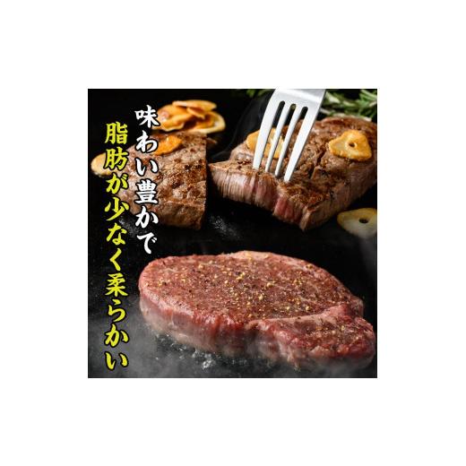 ふるさと納税 大分県 佐伯市 おおいた 和牛 ヒレステーキ (計450g・約150g×3枚) 