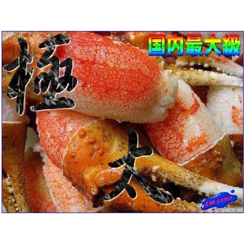 ずわい蟹 親爪2L-1kg カナダ産 (1パック31-35本入り)