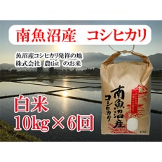 南魚沼産 コシヒカリ 白米10kg 全6回