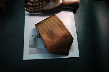 金色線條領帶真絲商務型男摯愛necktie