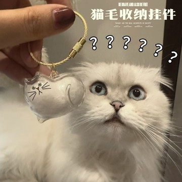 💥臺灣有貨💥免運💥透明貓毛收納盒吊飾貓咪毛髮收集儲存存放紀念收藏膠囊鑰匙扣掛件 UVXQ