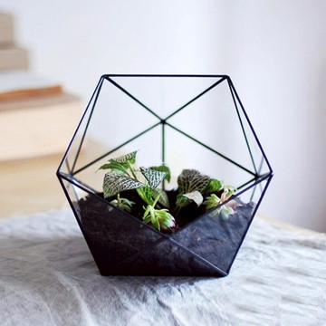 創意花盆多肉植物花盆/玻璃花房花器r微景觀幾何花房設計師器皿