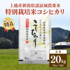 ★数量限定★令和5年産・新潟県上越市吉川区国田産・新潟県認証米 特別栽培米コシヒカリ玄米20kg