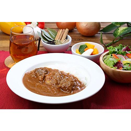 国立薬膳カレー　ビーフ200ｇ　×5個