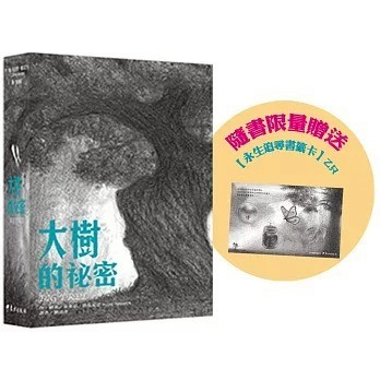 東方_大樹的祕密 Big Tree