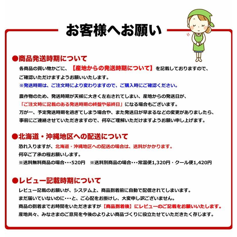 ポイント10倍 美早みかん ミカン 熊本 家庭用 秀品 3kg Mサイズ 26〜28玉前後 送料無料 産直 S常