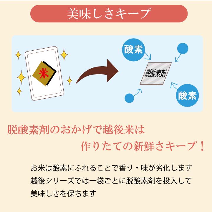 低たんぱく　越後極み(450g×4)炊飯　バイオテックジャパン　低タンパク　米　ごはん　腎臓　CKD　食事療法