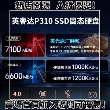 迷你遊戲機 掌上遊戲機 出國旅遊娛樂必備 懷舊街機 開源掌機美光P310 2TB SSD固態硬盤 M.2接口（NVMe PCIe4.0
