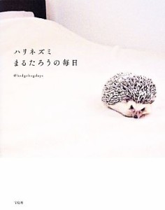  ハリネズミまるたろうの毎日／＠ｈｅｄｇｅｈｏｇｄａｙｓ(著者)