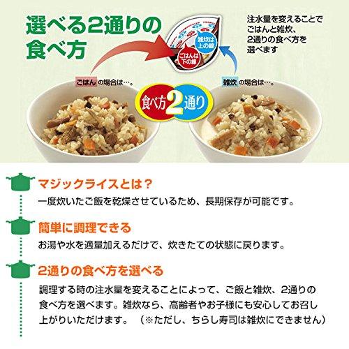 サタケ マジックライス 備蓄用 ドライカレー 100g×10個セット (防災 保存食 非常食)