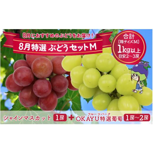 ふるさと納税 福井県 あわら市 8月特選 ぶどうセットM　1kg以上（2〜3房）／ 葡萄 シャインマスカット シャイン 品種 おまかせ あわら 農家おすす…