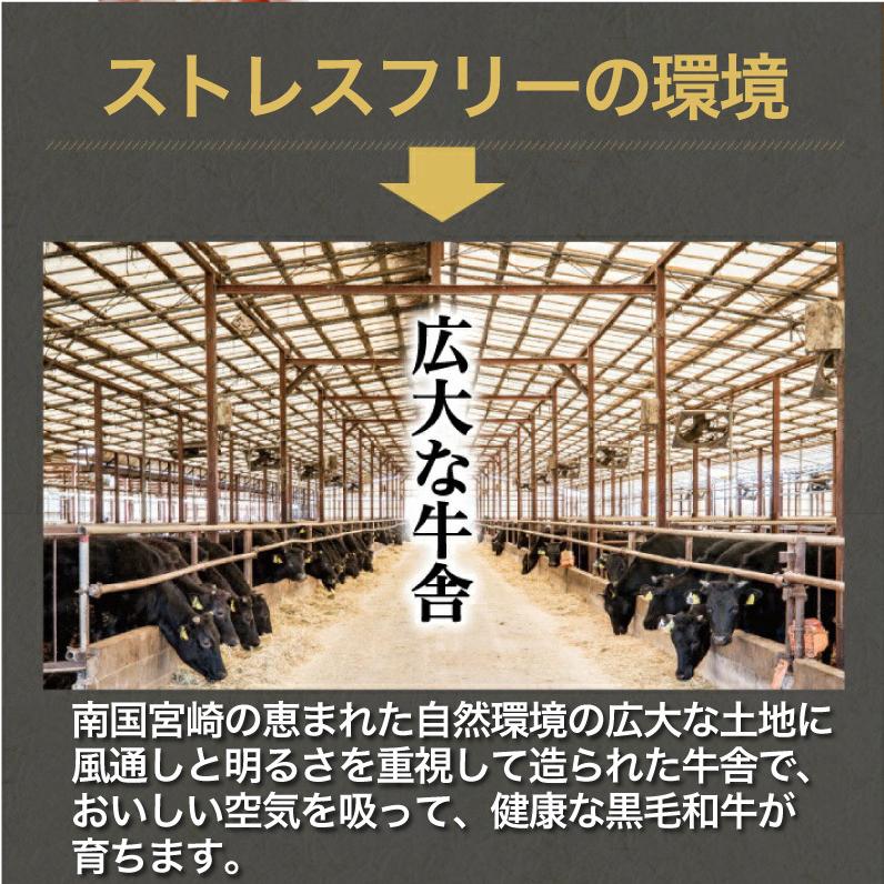 黒毛和牛 ホルモン 小腸 味噌だれ漬け 200g 宮崎県産 送料無料 おつまみ おかず クール便