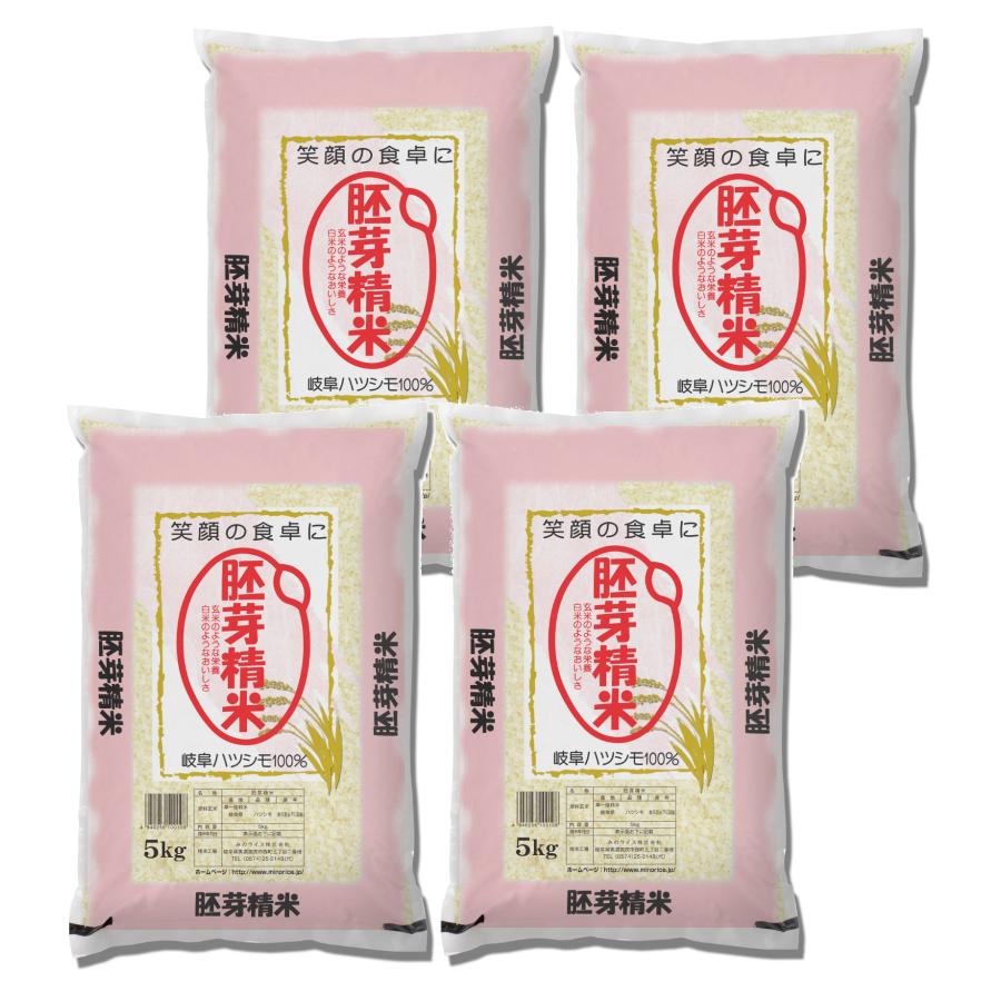 米 お米 胚芽精米 20kg （5kg×4） ハツシモ　岐阜県産　令和5年産