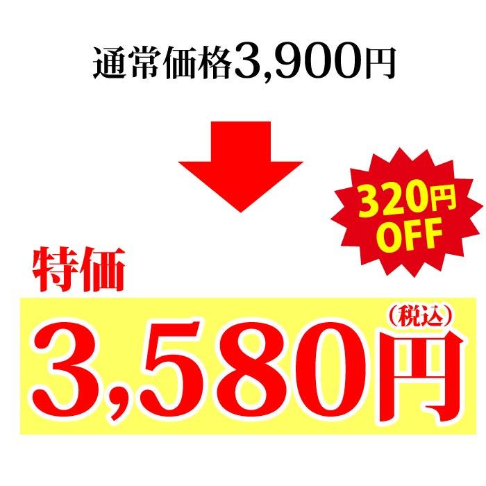 厳選国産牛　特選ホルモン（牛もつ） 600g（200g×3袋） モツ 小腸 冷凍 国産牛 お肉 牛肉 お取り寄せ 送料無料