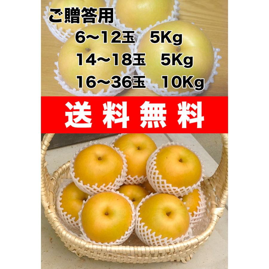 梨 鳥取県産 新興 梨 秀品 5kg 6〜12玉 贈答用 梨 なし 5Kg ギフト 送料無料 お歳暮 ギフト