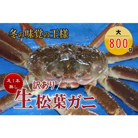 ふるさと納税 松葉ガニ 訳あり足１本なし生松葉ガニ（大800g）訳ありかに カニ 蟹 生 新鮮 かに カニ 蟹 松葉ガニ 松葉がに かに カニ 蟹 生【魚.. 鳥取県倉吉市