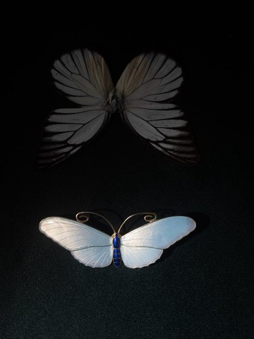 20世紀初期 挪威 Marius Hammer 浮雕琺瑯蝴蝶胸針