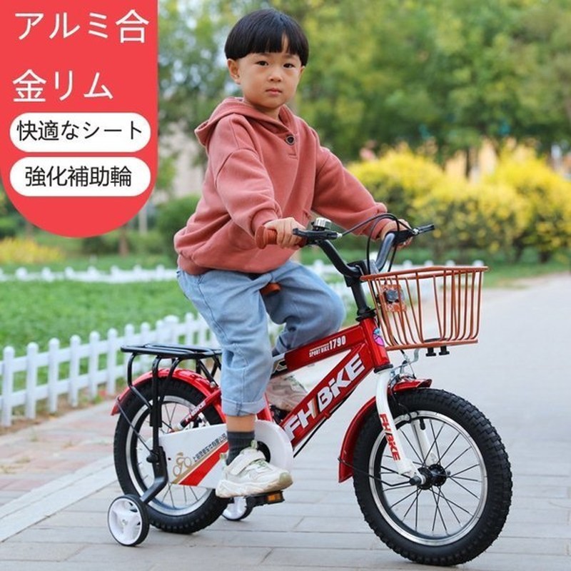 自転車 の 補助 輪