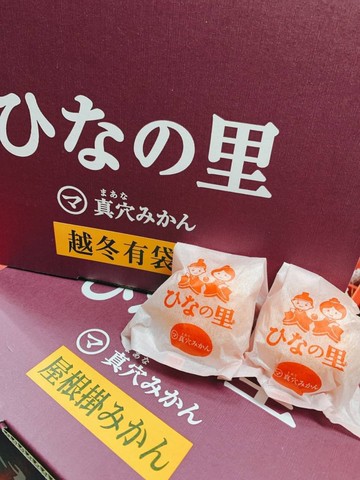 【帕查嬤嬤】????日本 愛媛縣 真穴 頂級越冬有袋蜜柑 30玉原裝箱｜日本蜜柑禮盒