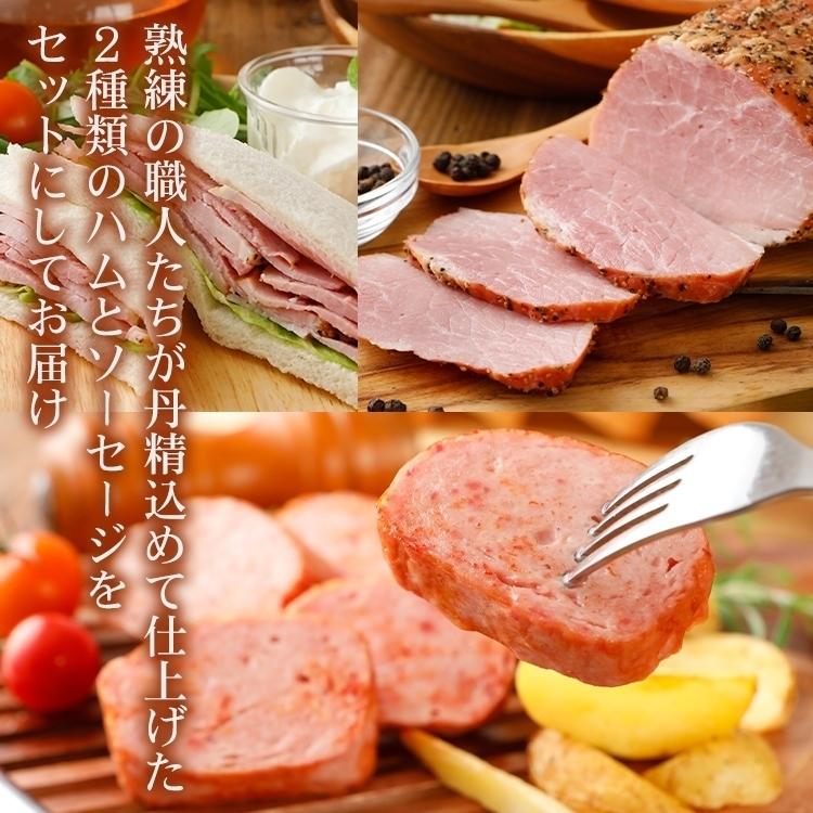 味・彩セット ギフト 709 [冷蔵] お歳暮 御歳暮 2023 食品 内祝い お礼 ハム ギフトセット ハムギフト ソーセージ 詰め合わせ 食べ物 美味しい 贈り物