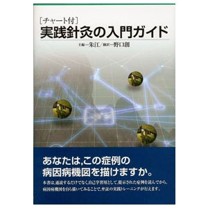 [日本語] チャート付実践針灸の入門ガイド