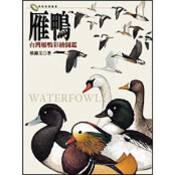 雁鴨【城邦讀書花園】