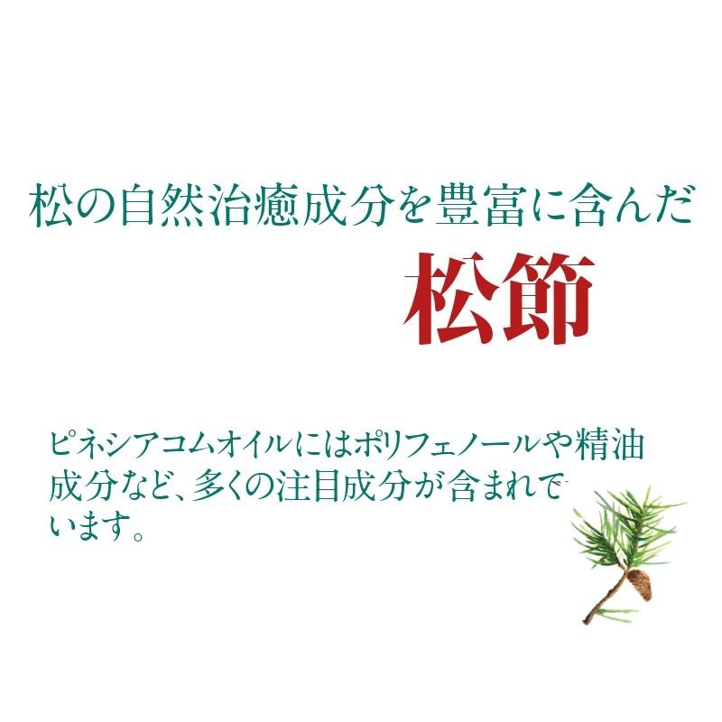 松康泉 ＆ 棗参宝 各100粒入り2種セット そうじんほう しょうこうせん 和漢植物 の サプリ ナツメ 棗 阿膠 あきょう 葉酸 松節 徳潤 |  LINEブランドカタログ