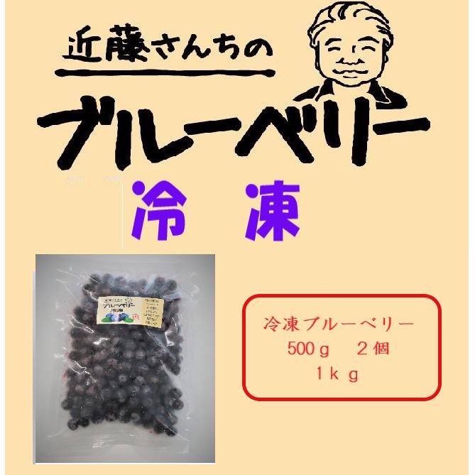 冷凍ブルーベリー1ｋｇ　Ｂ−１８