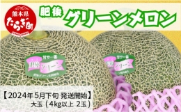 熊本県産 肥後 グリーンメロン 大玉 ≪2玉／合計4kg以上≫ 008-0662-2024