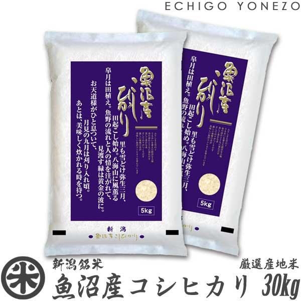 [新米 令和5年産] 魚沼産コシヒカリ 30kg (5kg×6袋) 新潟米 新潟県産 お米 白米 こしひかり 送料無料 ギフト対応