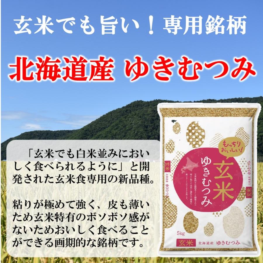 新米 玄米 ゆきむつみ 北海道産 5kg 令和5年産