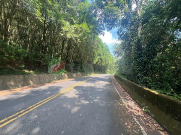 埔里25甲農地可申請農場企業購地造林碳權抵換｜南投縣埔里鎮桃米坑段