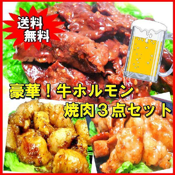 送料無料 豪華 牛ホルモン焼肉３点セット　バーベキュー　ＢＢＱ