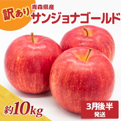 りんご 訳あり約10kg サンジョナゴールド不揃い青森リンゴ酸味あり