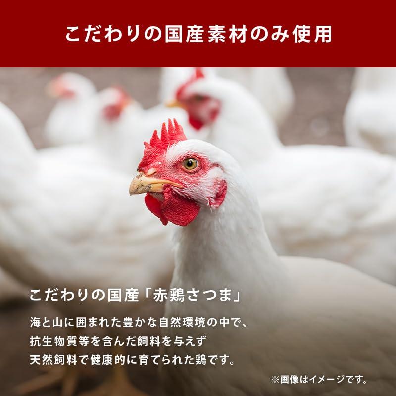 送料無料100g×3袋(粉末タイプ) 前田家 国産原料だけで作った 完全無添加 チキンコンソメ だし 100gx3袋(粉末タイプ) 特許製法 料理のベーススープ 無塩 化学調