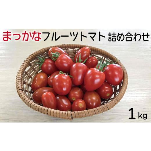 ふるさと納税 島根県 安来市 まっかなフルーツトマト詰め合わせ　1kg